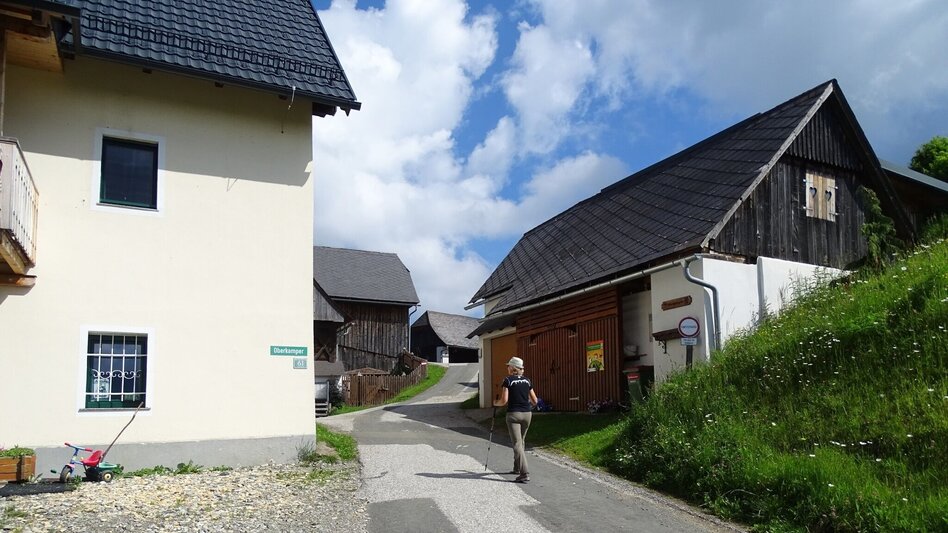 Wanderung Steinplan über Oberkamper - Touren-Impression #2.8 | © WEGES OG