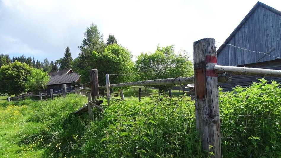 Wanderung Steinplan über Oberkamper - Touren-Impression #2.9 | © WEGES OG