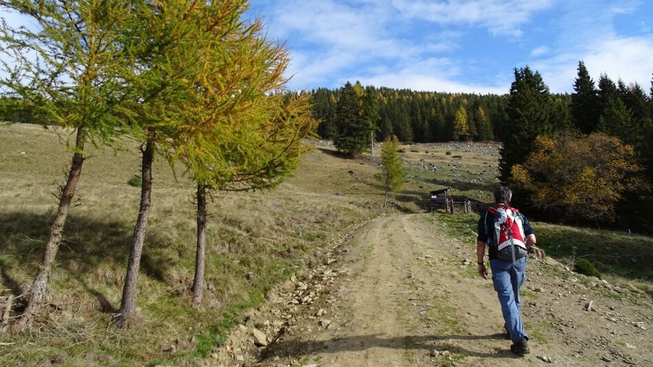 Wanderung Steinplan über Oberkamper - Touren-Impression #2.10 | © WEGES OG