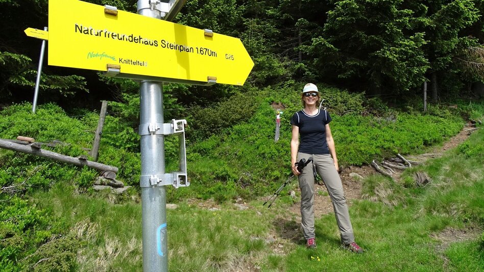 Wanderung Steinplan über Oberkamper - Touren-Impression #2.11 | © WEGES OG