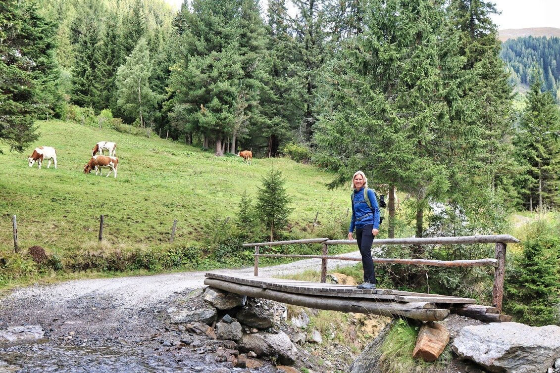Wanderung 3 Gipfel bei den Goldgräbern auf der Wildalm - Touren-Impression #1 | © Weges OG