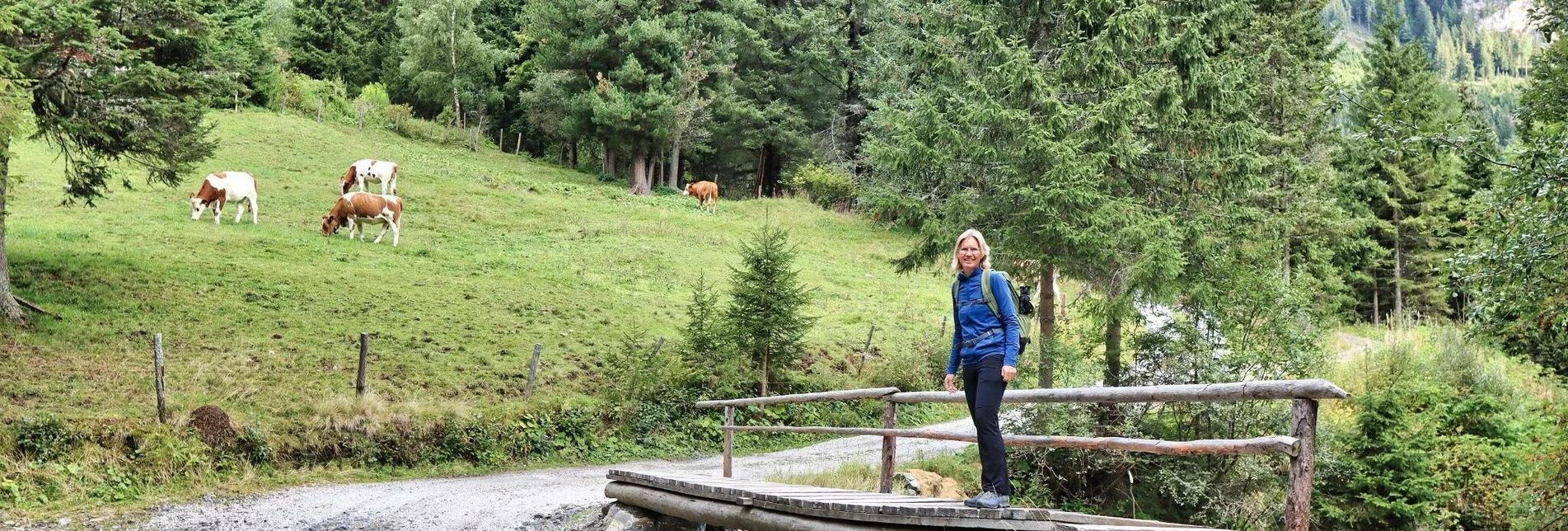 Wanderung Wildalm und 3-Gipfel-Tour in den Wölzer Tauern - Touren-Impression #1 | © Weges OG