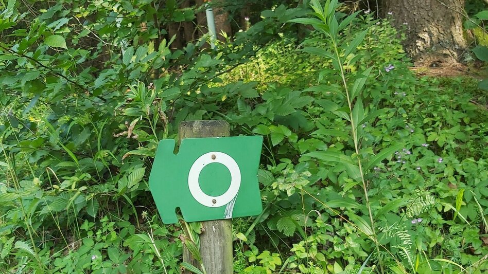 Hiking Route Calorie path - Touren-Impression #2.9 | © Oststeiermark Tourismus