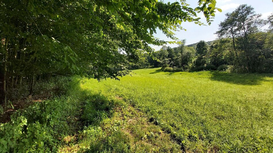 Hiking Route Calorie path - Touren-Impression #2.6 | © Oststeiermark Tourismus