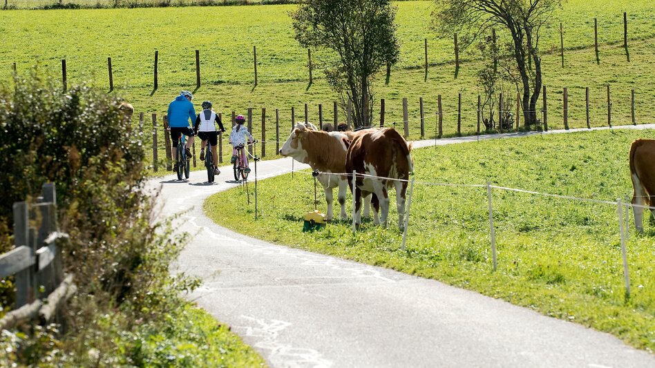 Radfahren Etappe 01 Murradweg Sticklerhütte - St. Michael im Lungau - Touren-Impression #2.2 | © Ferienregion Lungau