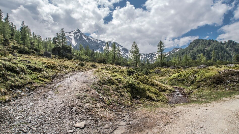 Bergtour Rund um die Kampspitze - Touren-Impression #2.8 | © Gerhard Pilz - www.gpic.at