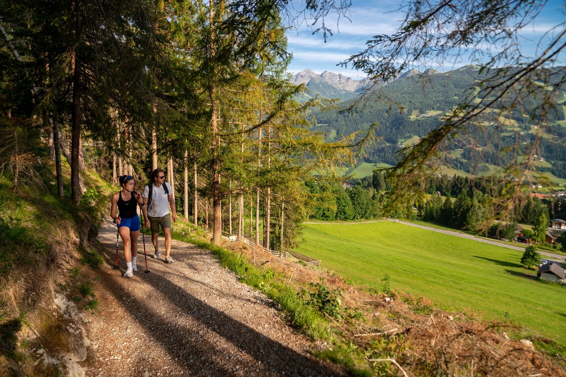 Wanderung Sattelbergrundweg - Touren-Impression #1 | © Christine Höflehner