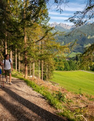 Wandern am Sattelberg | Christine Höflehner | © Christine Höflehner