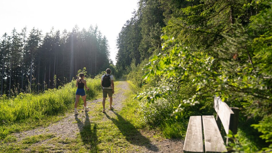 Wanderung Sattelbergrundweg - Touren-Impression #2.3 | © Christine Höflehner