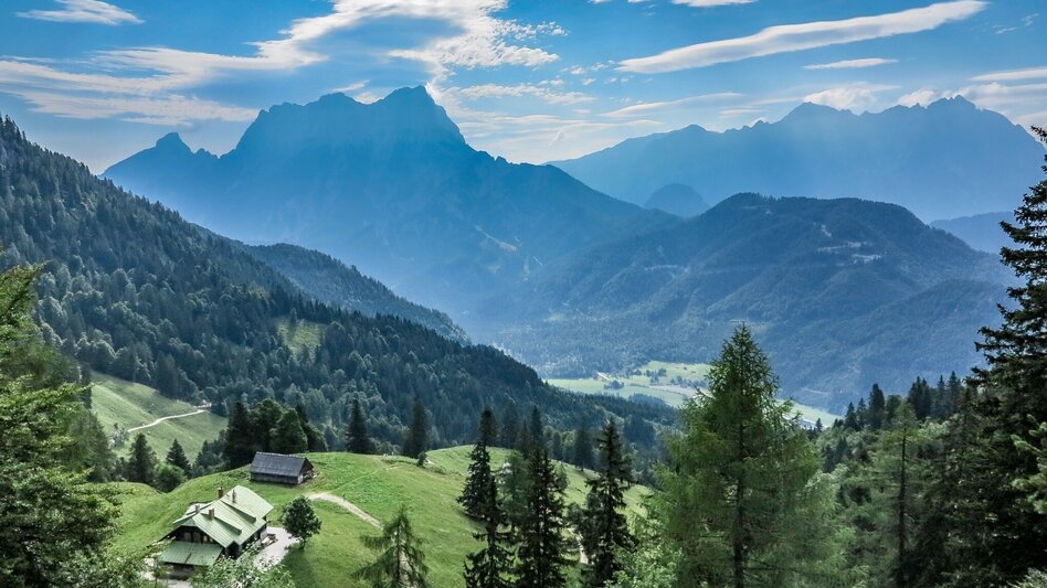 Wanderung Almlehrpfad Grabnerstein - Touren-Impression #2.7 | © TV Gesäuse