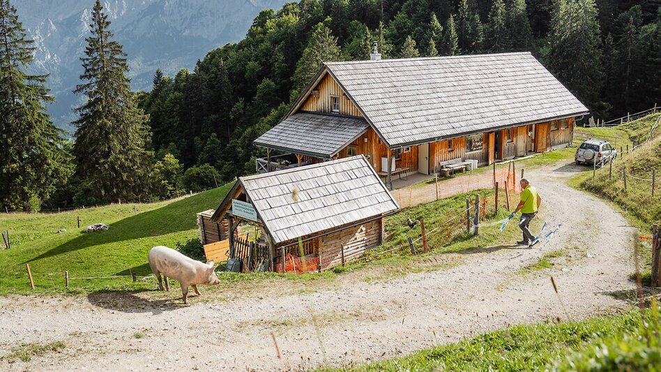 Wanderung Almlehrpfad Grabnerstein - Touren-Impression #2.10