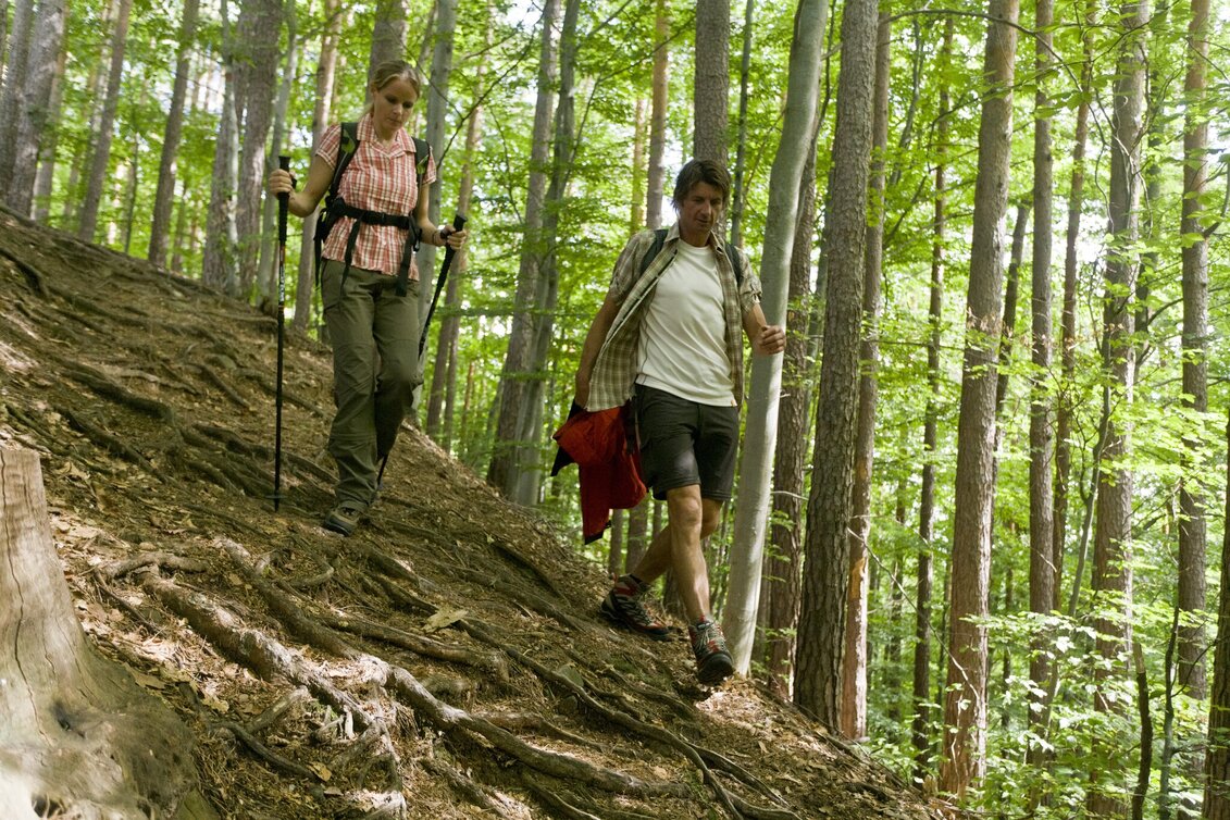 Wanderung Etappe 03 Mariazeller Weg Deutschlandsberg - Stainz - Touren-Impression #1 | © Steiermark Tourismus