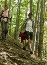 Stainzer-Warte-steiermark-tourismus-leo-himsl.jpg | © Steiermark Tourismus | Leo Himsl | © Steiermark Tourismus