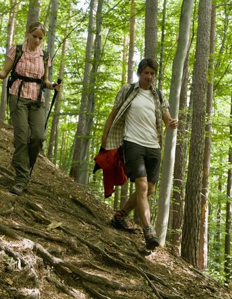 Stainzer-Warte-steiermark-tourismus-leo-himsl.jpg | Leo Himsl | © Steiermark Tourismus