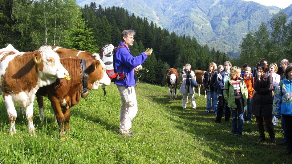 Familienwanderwege Heilkräuterweg Aflenz - Kräutermeilen - Touren-Impression #2.4 | © Verein Heilpflanzenwissen