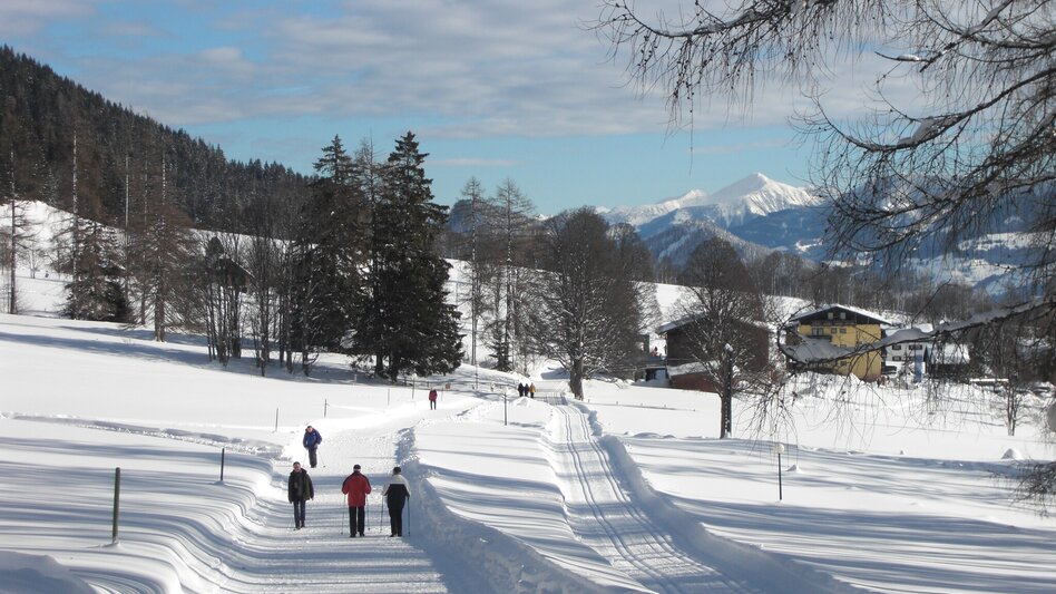 Winterwandern Panoramarunde - Touren-Impression #2.4 | © Schladming-Dachstein