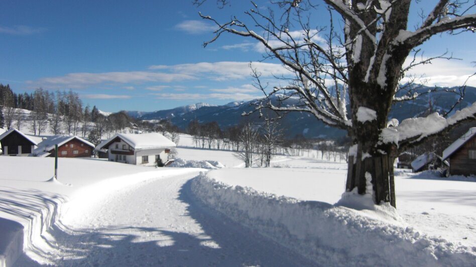 Winterwandern Panoramarunde - Touren-Impression #2.2 | © Schladming-Dachstein