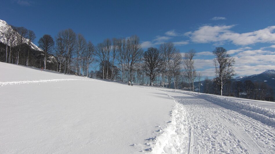 Winterwandern Panoramarunde - Touren-Impression #2.3 | © Schladming-Dachstein