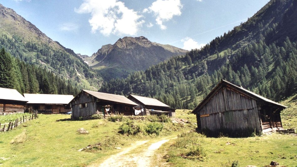 Wanderung Zum Almdorf in die Tuchmoaralm - Touren-Impression #2.2 | © Erlebnisregion Schladming-Dachstein