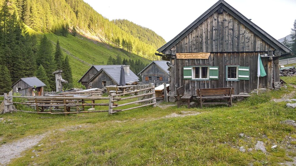Wanderung Zum Almdorf in die Tuchmoaralm - Touren-Impression #2.3 | © Herfried Marek