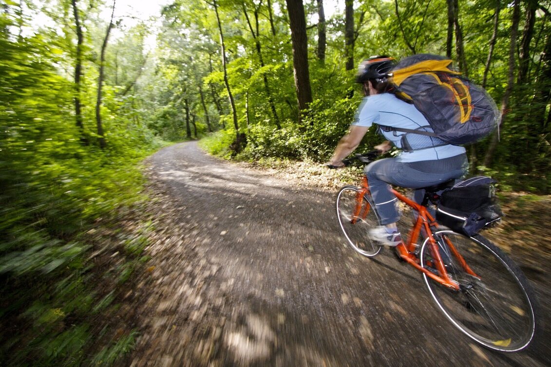 Cycling Stage 07 Murradweg (Mur Cycle Path) Leibnitz - Bad Radkersburg - Touren-Impression #1 | © Steiermark Tourismus/Gerhard Eisenschink