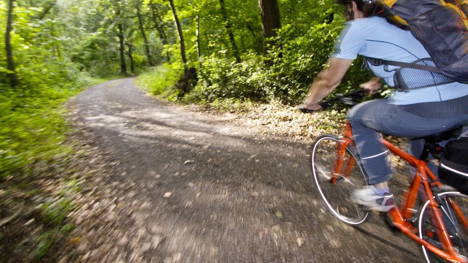 Radfahren Etappe 07 Murradweg Leibnitz - Bad Radkersburg - Touren-Impression #2.1 | © Steiermark Tourismus