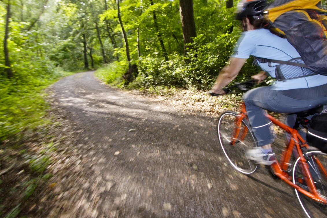 Radfahren Etappe 07 Murradweg Leibnitz - Bad Radkersburg - Touren-Impression #1 | © Steiermark Tourismus