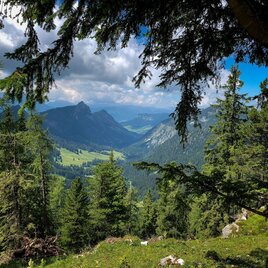 View towards the Ennstal valley | © Steiermark Tourismus/Manfred Polansky