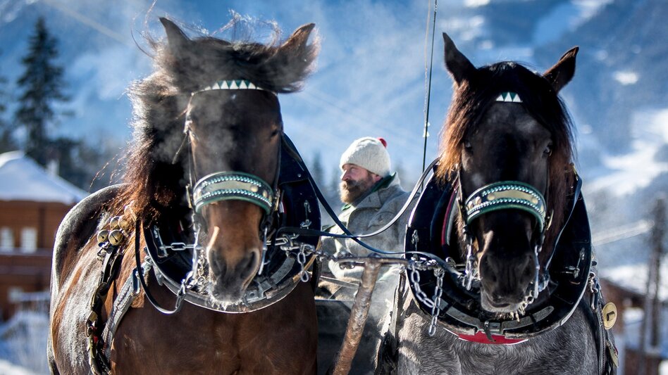 Winter Hiking "Halserround" - sleighs - Touren-Impression #2.1 | © Erlebnisregion Schladming-Dachstein