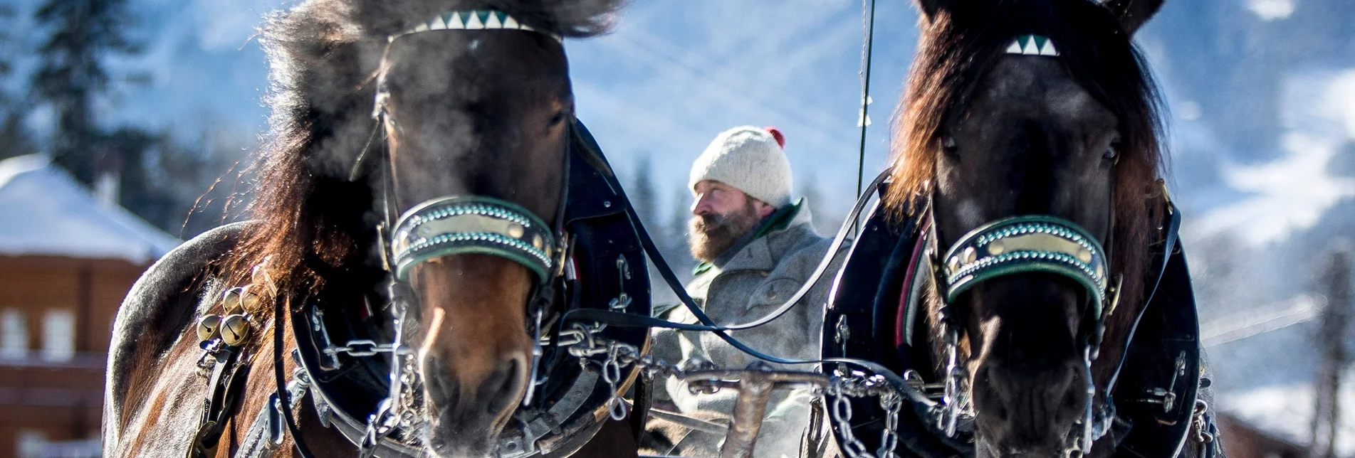 Horse Carriage Ride "Halserround" - sleighs - Touren-Impression #1 | © Erlebnisregion Schladming-Dachstein