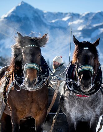Horse-drawn sleigh ride on the Halserweg | Tom Lamm | © Erlebnisregion Schladming-Dachstein