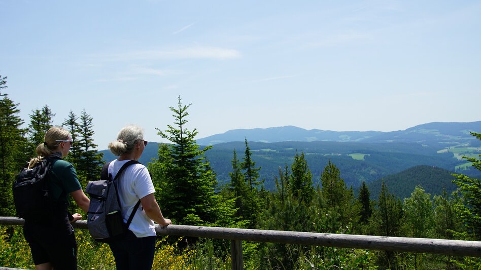 Hiking Route Arzbergrundweg, St. Jakob im Walde - Touren-Impression #2.5 | © Oststeiermark Tourismus