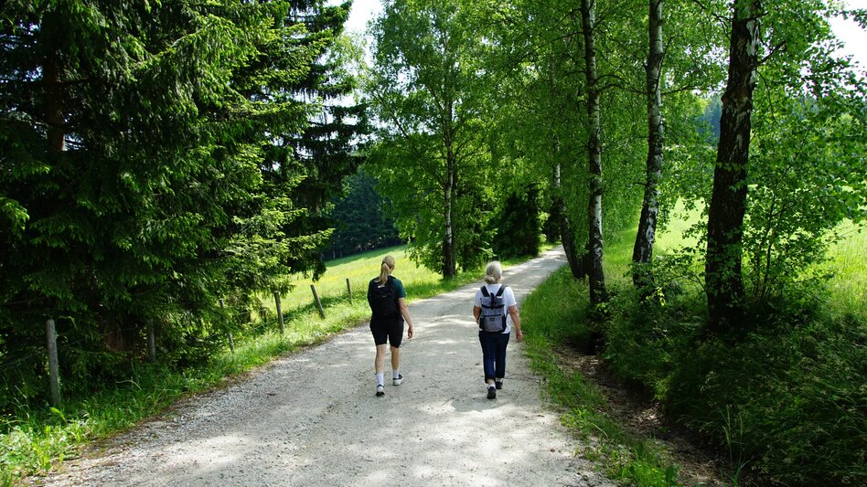 Hiking Route Arzbergrundweg, St. Jakob im Walde - Touren-Impression #2.4 | © Oststeiermark Tourismus