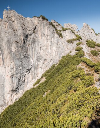 Hanhstein | Andreas Hollinger