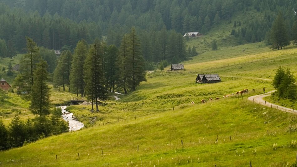 Wanderung Etappe 08 Vom Gletscher zum Wein Südroute Putzentalalm - Krakau - Touren-Impression #2.1 | © Steiermark Tourismus