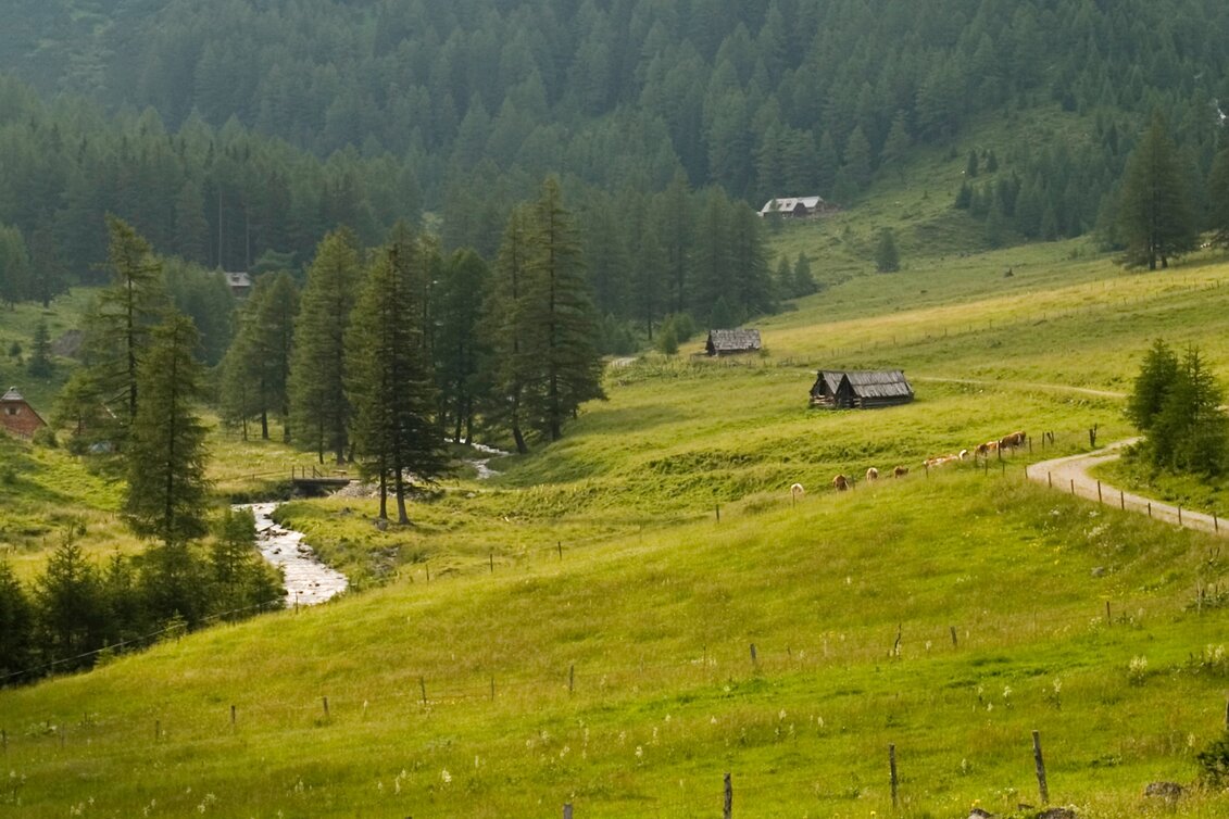 Wanderung Etappe 08 Vom Gletscher zum Wein Südroute Putzentalalm - Krakau - Touren-Impression #1 | © Steiermark Tourismus