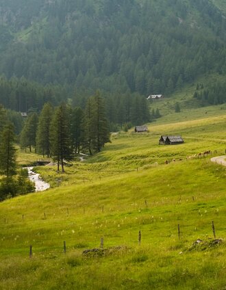 Blick ins Krakautal | Podpera | © Steiermark Tourismus