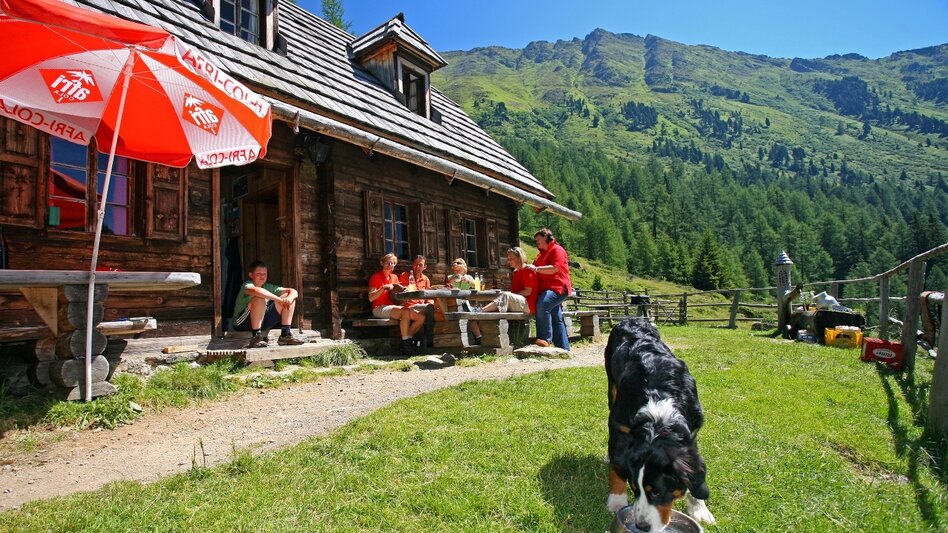 Wanderung Etappe 08 Vom Gletscher zum Wein Südroute Putzentalalm - Krakau - Touren-Impression #2.4 | © Fa. Lowa