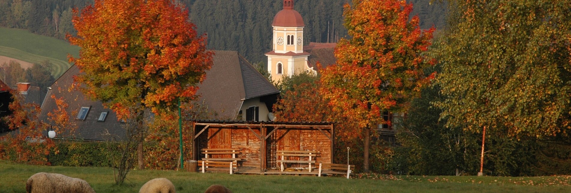 Herbstlicher Blick auf Birkfeld | © Tourismusverband Oststeiermark - Geschäftsstelle Region Joglland - Waldheimat
