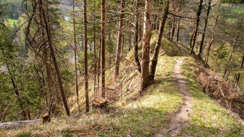 Wanderung Zur Rochusgrotte - Touren-Impression #2.2 | © TV Gesäuse