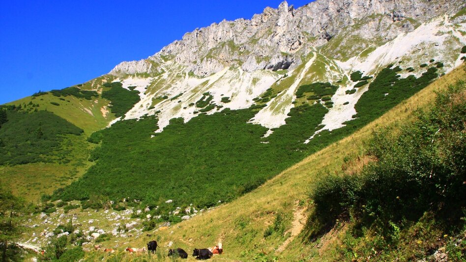 Wanderung Auf den Gipfel der Hohen Veitsch - Touren-Impression #2.3 | © TV Hochsteiermark
