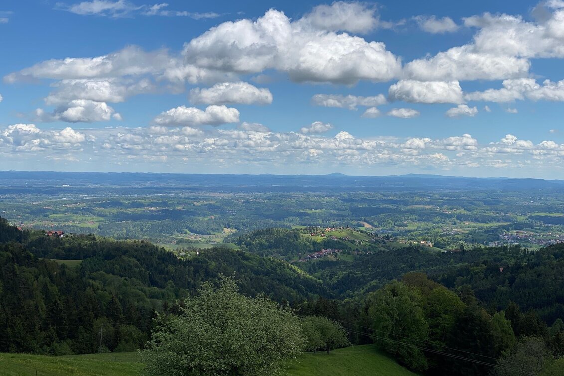 Radfahren Schilcher Tour Nord Nr. 702, Variante 2 - Touren-Impression #1 | © TVB Südsteiermark-Schilcherland Steiermark/Stefanie Schmid