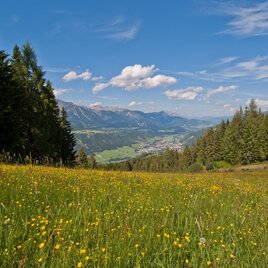 View from trail n° 60 towards Schladming | © Gerhard Pilz - www.gpic.at