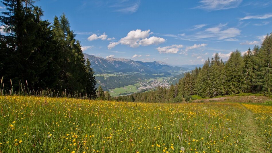 Hiking Route The Hochwurzen Tour - Touren-Impression #2.1 | © Gerhard Pilz - www.gpic.at
