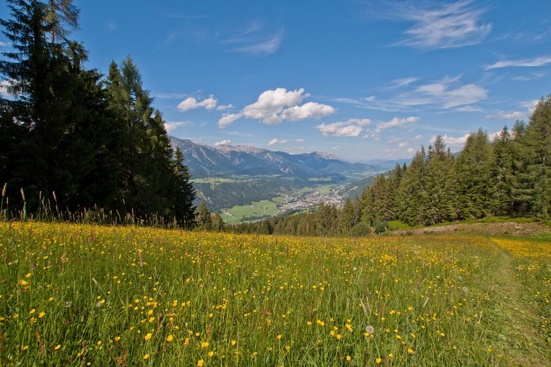 Hiking Route The Hochwurzen Tour - Touren-Impression #1 | © Gerhard Pilz - www.gpic.at