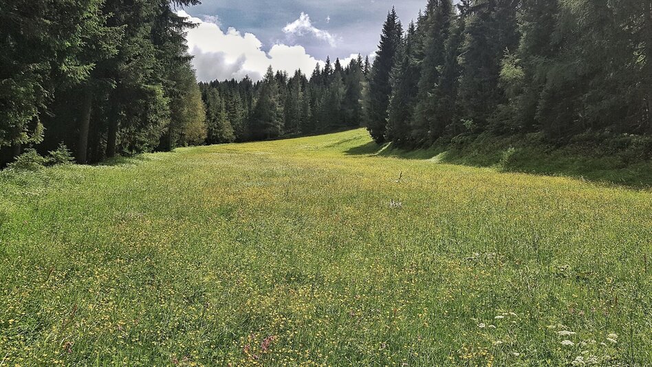 Hiking Route The Hochwurzen Tour - Touren-Impression #2.7 | © Gerhard Pilz