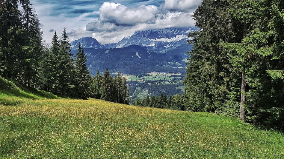 Hiking Route The Hochwurzen Tour - Touren-Impression #2.8 | © Gerhard Pilz