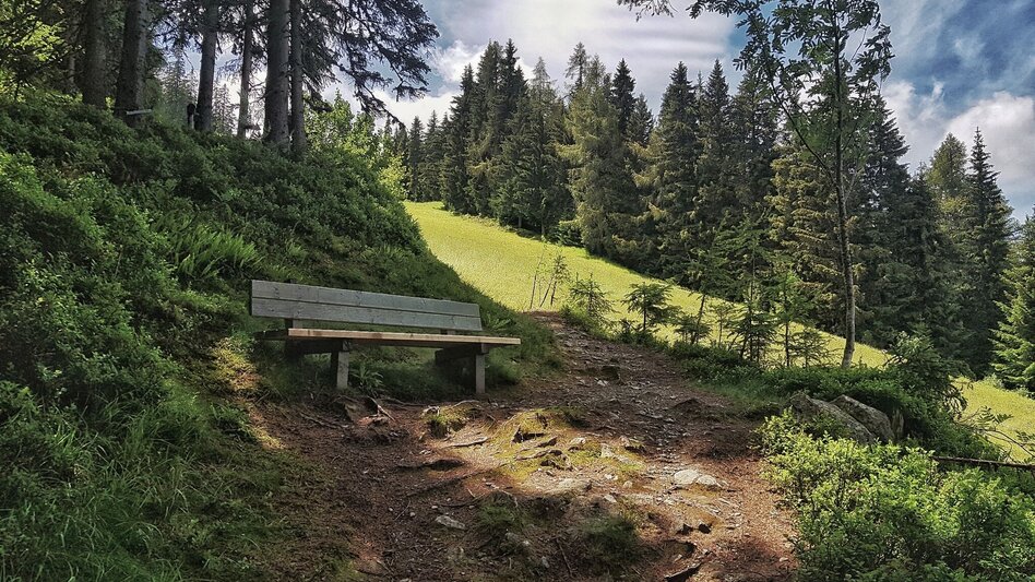 Hiking Route The Hochwurzen Tour - Touren-Impression #2.9 | © Gerhard Pilz
