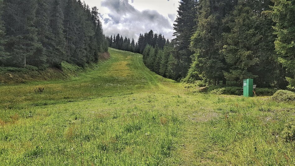 Hiking Route The Hochwurzen Tour - Touren-Impression #2.10 | © Gerhard Pilz