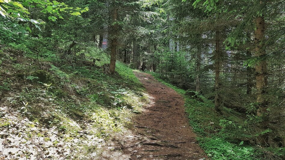 Hiking Route The Hochwurzen Tour - Touren-Impression #2.11 | © Gerhard Pilz